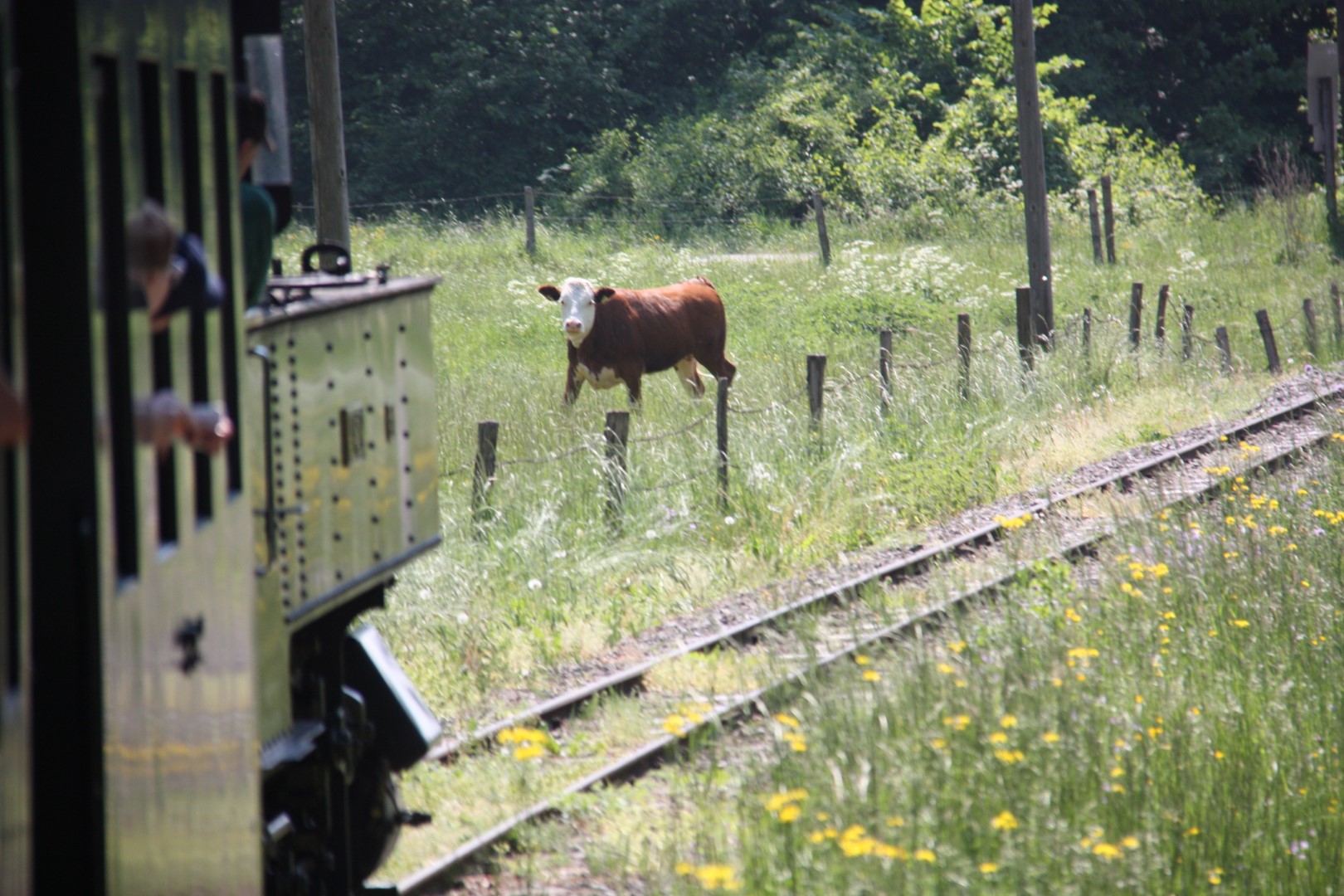 2018-05-11 Frhjahrsausfahrt: 2. Tag